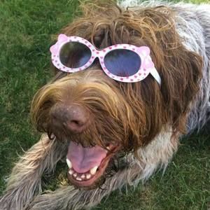 Meet your Posher, Carolyn